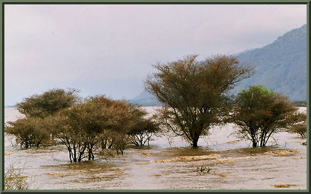 Flut Tansania